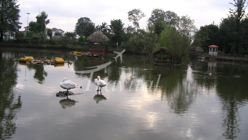 Lakan Salty Spring – Rasht