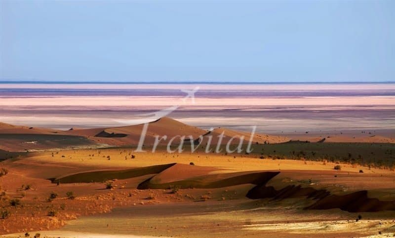 Loot Plain – Zahedan - view 2