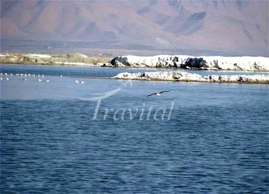 Miqan Lake – Arak - view 3