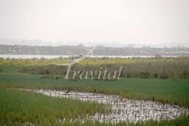 Mond Protected Zone – Dashti (Khormoj) - view 1