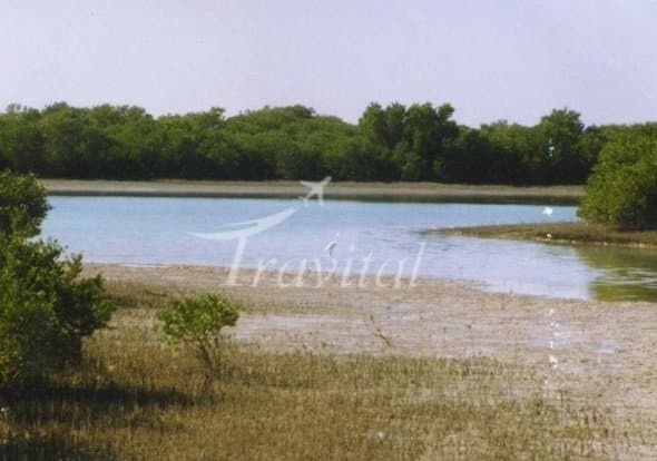 Mond Protected Zone – Dashti (Khormoj) - view 3