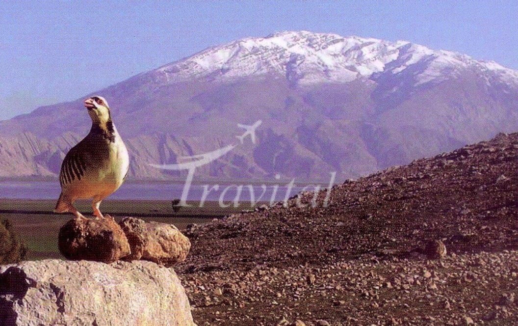 Mongasht (Mangasht) Mountain – Eazeh - view 3