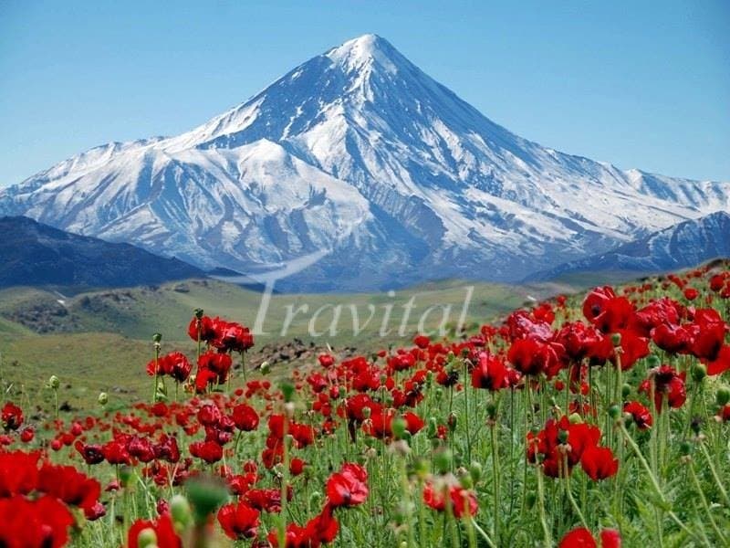 Mount Damavand – Amol - view 3
