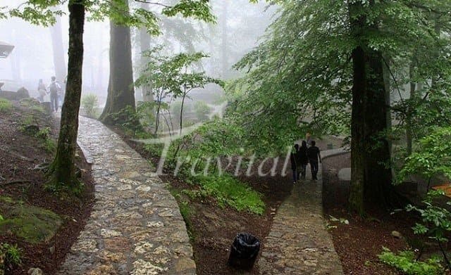 Namak Abrud Forest Park 
