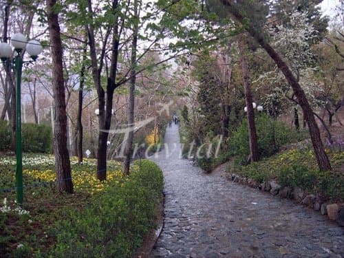 Park-e Jamshidieh 