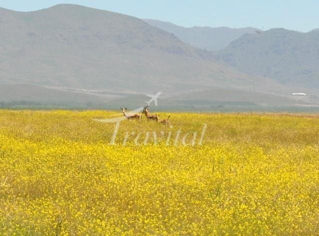 Zanjan - view 3