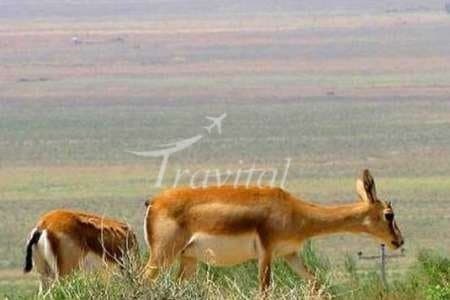 Protected Wildlife Zones – Zanjan - view 3