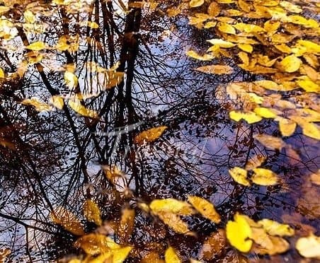 Qoroq Forest Park – Gorgan