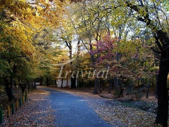 Qoroq Forest Park – Gorgan - view 2