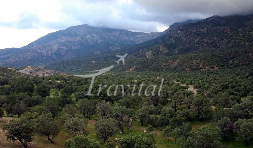 Sarabeleh Village – Ilam - view 3