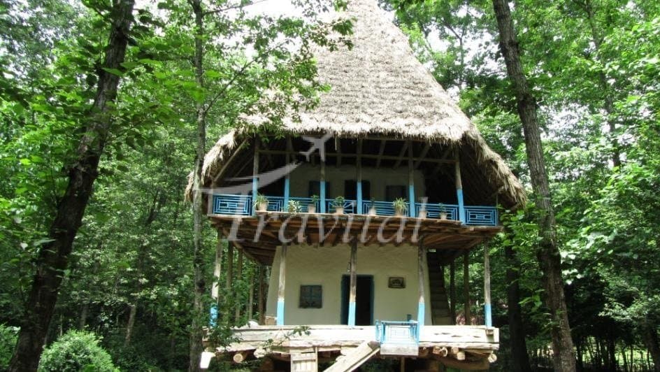 Saravan Forest Park – Rasht