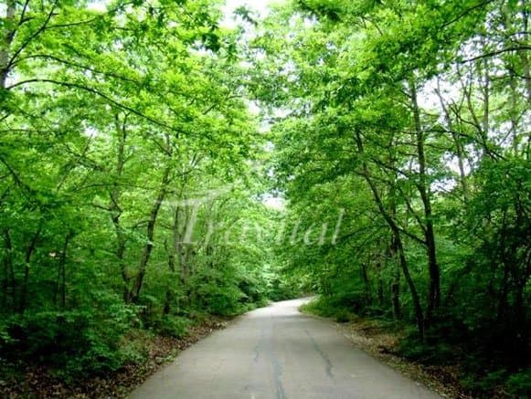 Saravan Forest Park – Rasht - view 2