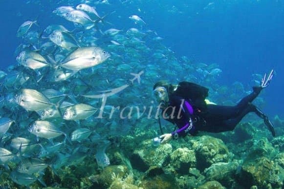 Scuba Diving in the Persian Gulf – Kish - view 2