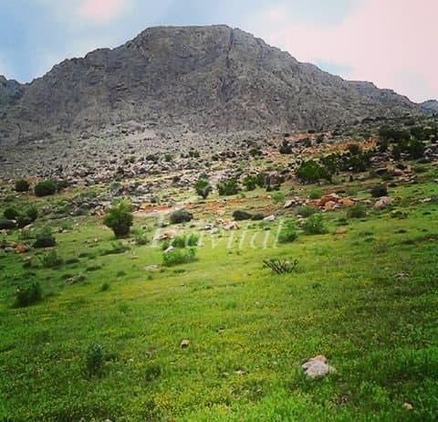 Shahrekord - view 1