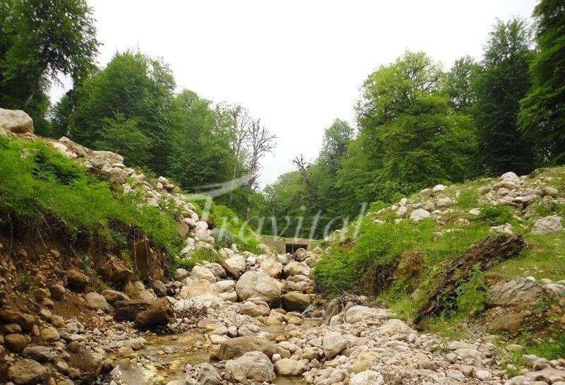 Qa’em Shahr (Ghaemshahr) - view 2