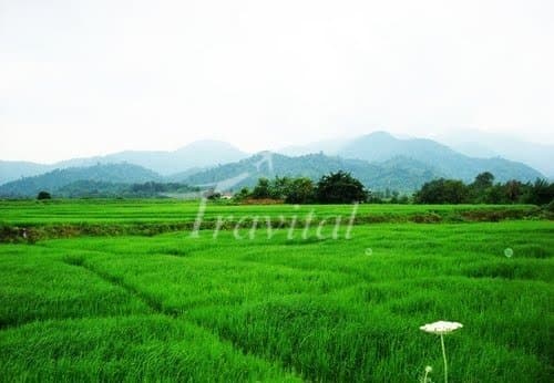 Talesh Forests – Ardabil - view 2