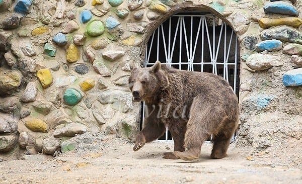 Tehran Zoo – Tehran - view 2