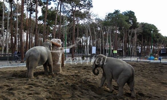 Tehran Zoo – Tehran - view 3
