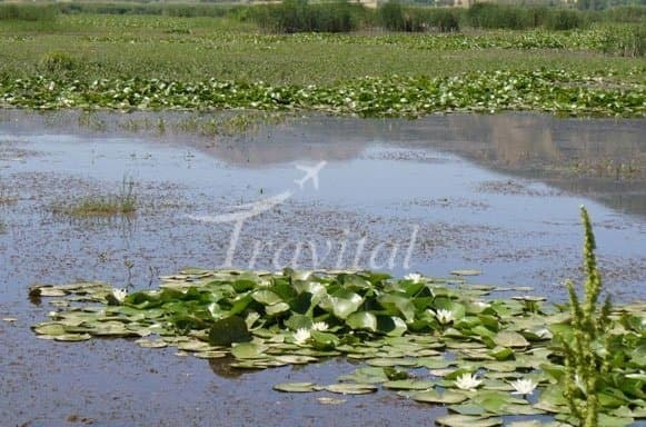 Zarivar (Zaribar) Lagoon – Marivan - view 3