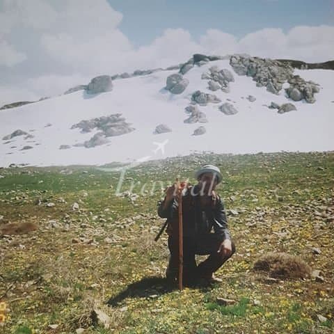Zereshk Mountain – Gorgan - view 2