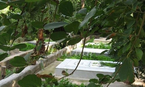 Zoroastrian Graveyard – Ahvaz - view 3
