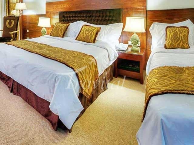 Darvishi Hotel – Mashhad - view 3
