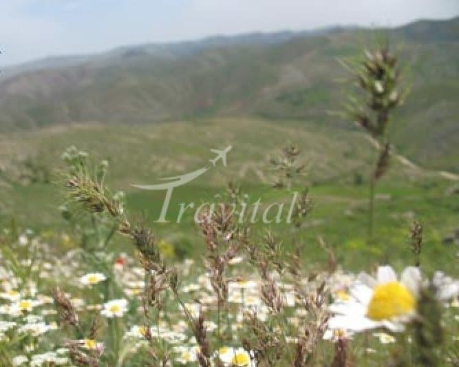Kani Rash Village – Mahabad - view 2