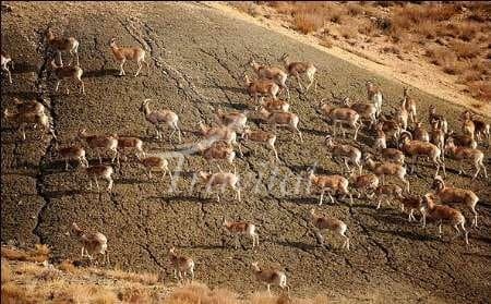 Marakan Protect Area – Khoy - view 2