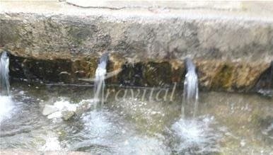 Abareq Mineral Water Spring – Kerman - view 2