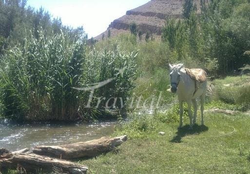 Atrak River – Quchan - view 3