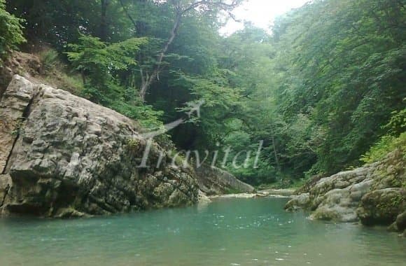 Babol and Amol Forests