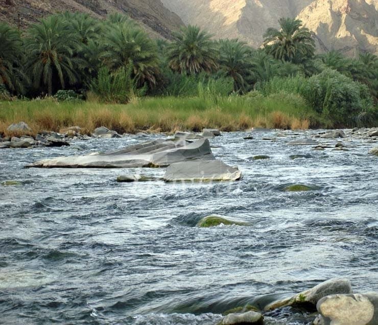 Bahookalat River – Iran Shahr - view 2