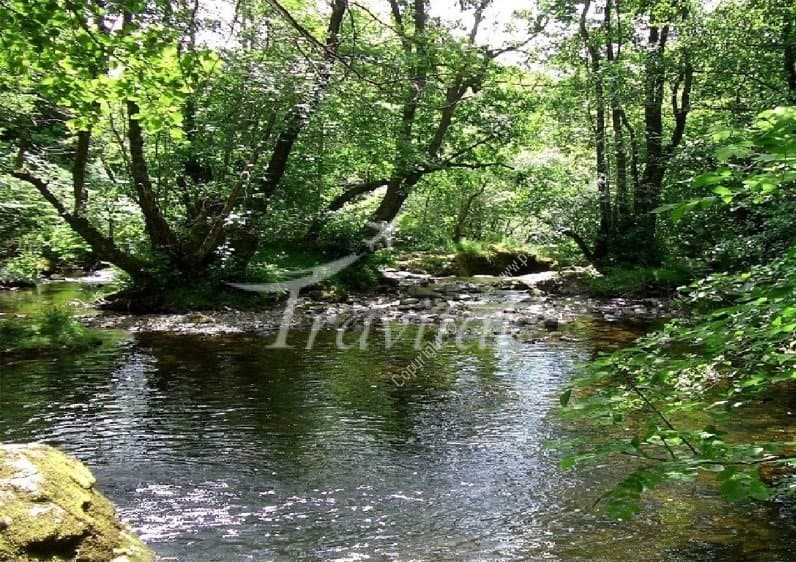Baran Kooh Spring – Gorgan - view 3
