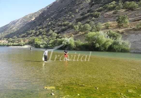 Beshar River – Boyer Ahmad (Yasuj)