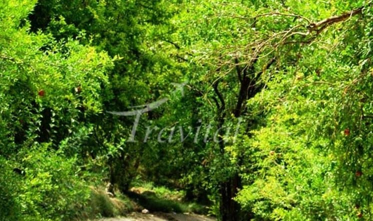 Bovan Gorge – Shiraz - view 2