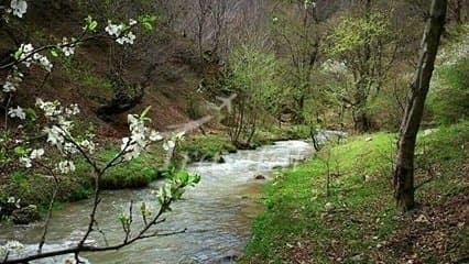 Nowshahr - view 3