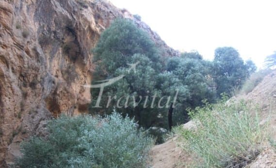 Chelehgah Recreation Site – Sepidan - view 3