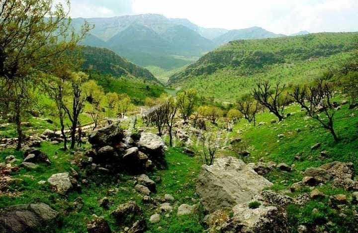 Dena Wildlife Protected Zones – Boyer Ahmad (Yasuj)