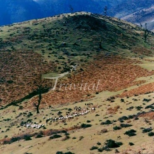 Bardeh Nakhsh Mountain – Eazeh - view 2
