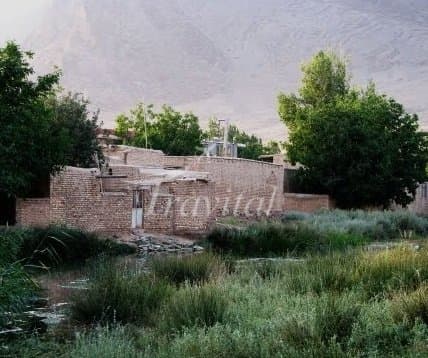 Emarat Wetland – Arak