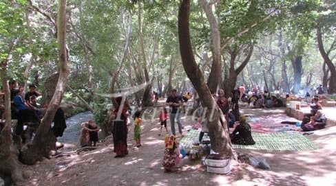 Felard Forest Zone – Shahrekord - view 3