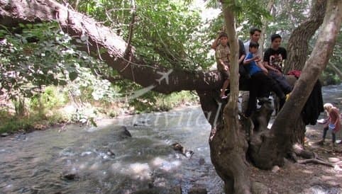 Felard Forest Zone – Shahrekord - view 2