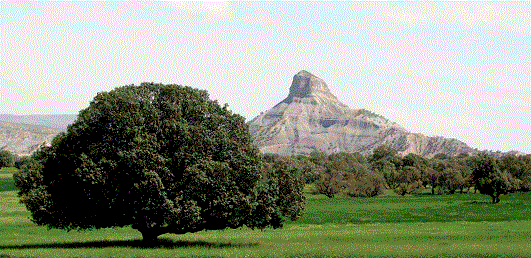Galam Zard Va Gereh Chaka Recreation Site – Ilam - view 3