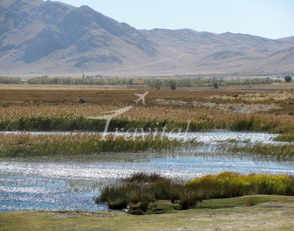 Gandoman Wetland – Lordegan - view 2