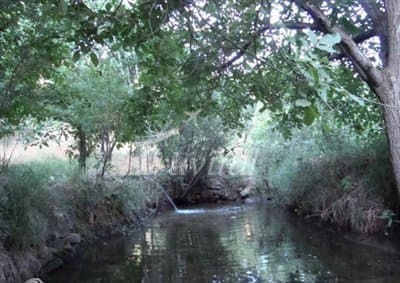 Gazand Sarabi Valley – Towiserkan - view 3