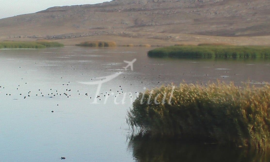 Hamoon Jazmoorian Lake
