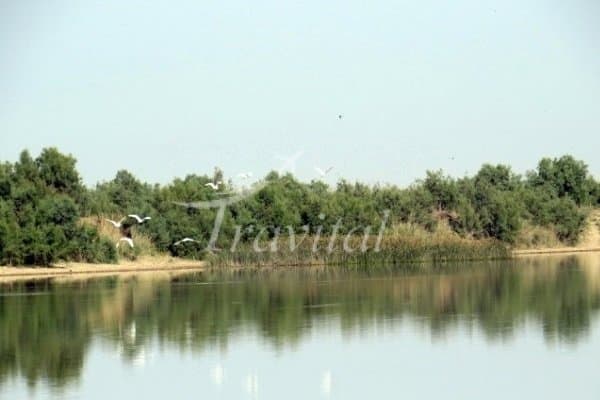 Helleh Wetland – Bushehr - view 2