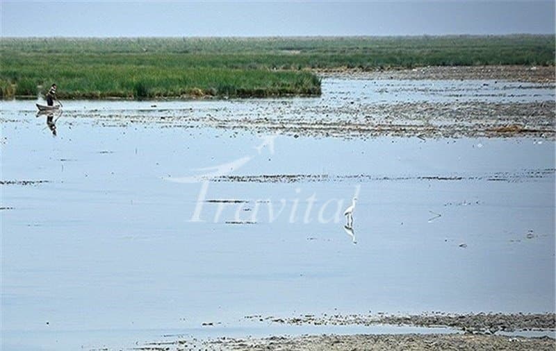Helleh Wetland – Bushehr - view 3