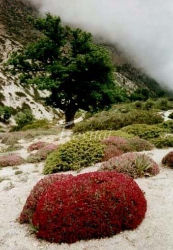 Jahan Nama Protected Zone – Gorgan - view 3