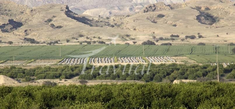 Khormoj Village Areas – Dashti (Khormoj) - view 2